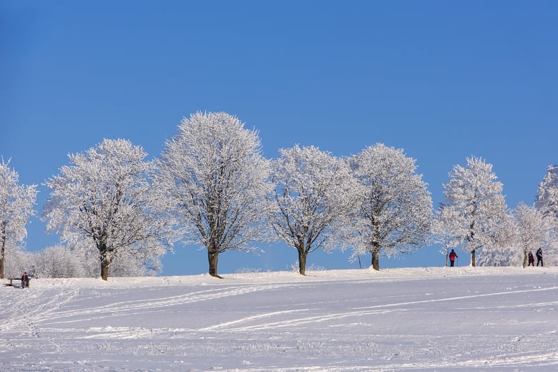 Winter Travel
